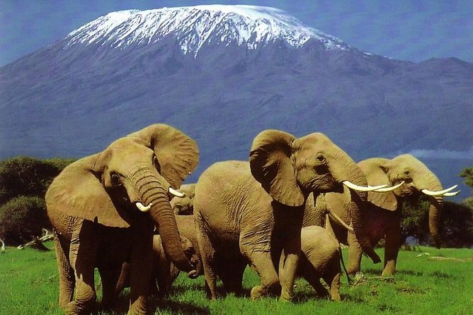 Naivasha
